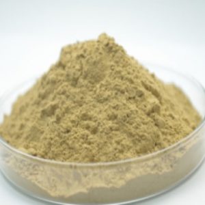 Bentonite NĐ – DMC